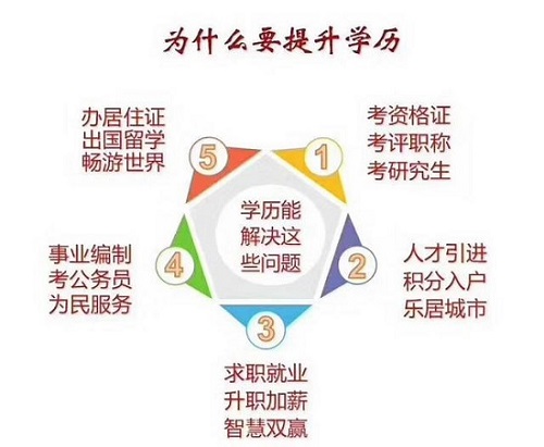 山东省专升本，探索学历提升之路