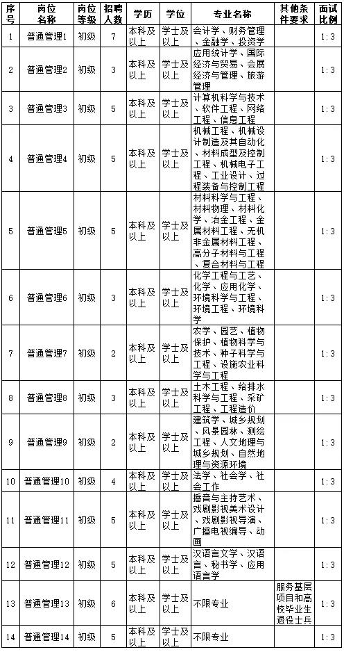 山东滕州人才招聘信息概览