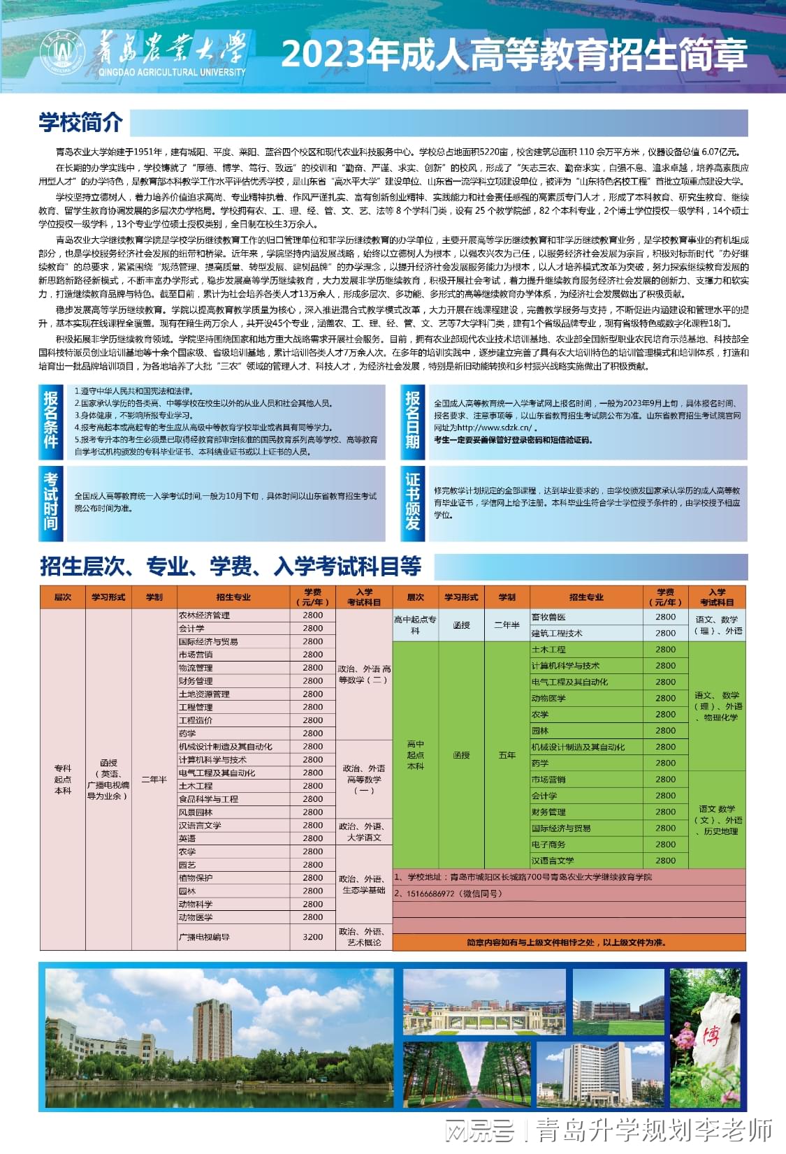 山东青岛成人自考网，助力梦想起航的坚实平台