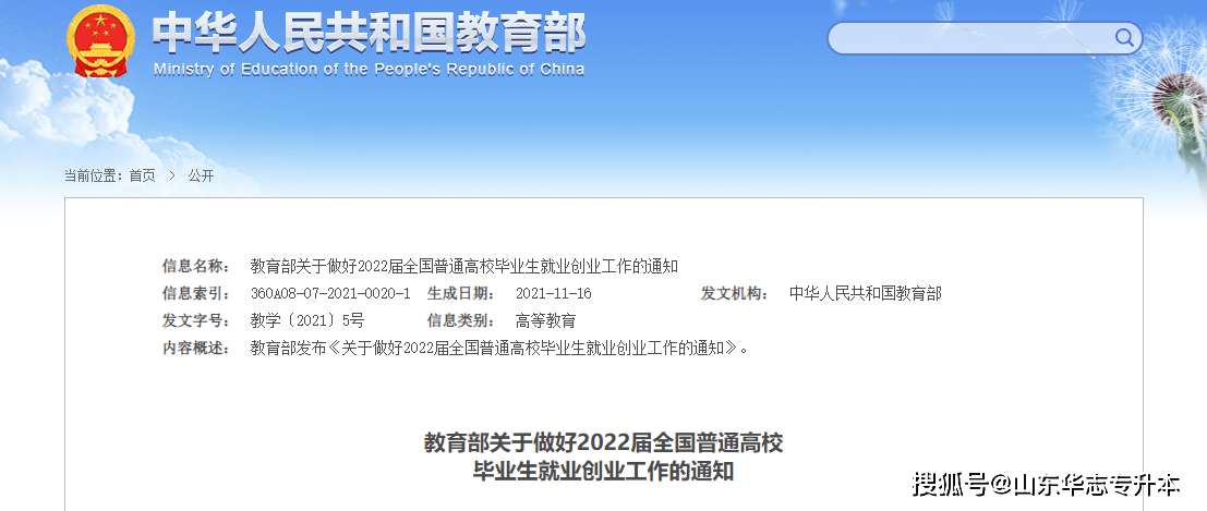 山东省专升本考试信息网，助力学子圆梦本科之路