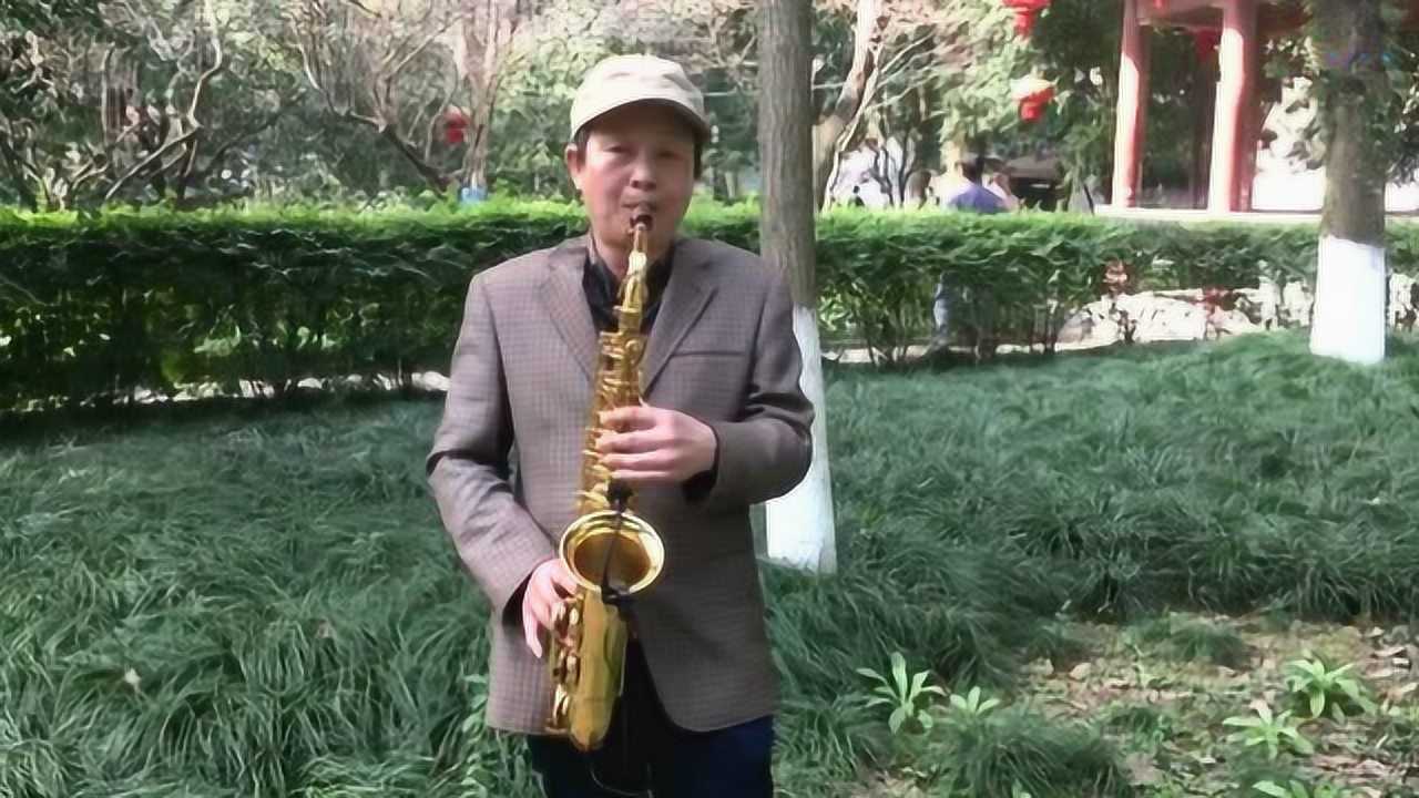 萨克斯独奏经典老歌小草，音乐与生活的交织